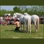 lezsaklevente086.jpg