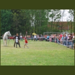 lezsaklevente106.jpg