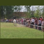 lezsaklevente121.jpg