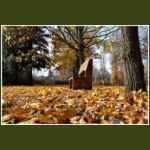 autumn001.jpg