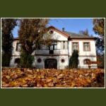 autumn003.jpg