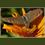 autumn008.jpg