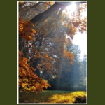 autumn014.jpg