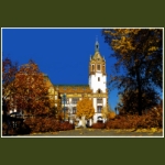 autumn015.jpg