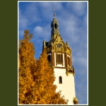 autumn018.jpg
