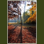 autumn028.jpg
