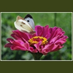 autumn035.jpg