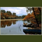 autumn043.jpg
