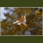 autumn048.jpg