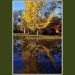 autumn055.jpg