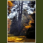autumn061.jpg