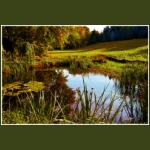 autumn063.jpg