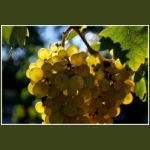 autumn066.jpg