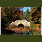 autumn074.jpg