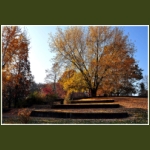 autumn077.jpg