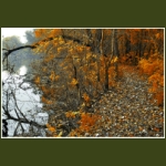 autumn084.jpg