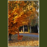 autumn086.jpg