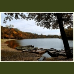 autumn089.jpg