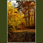 autumn095.jpg