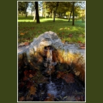 autumn097.jpg