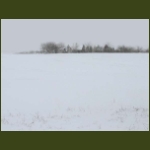 tel86.jpg